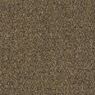 Tenbrooke II Commercial Carpet and Carpet Tile