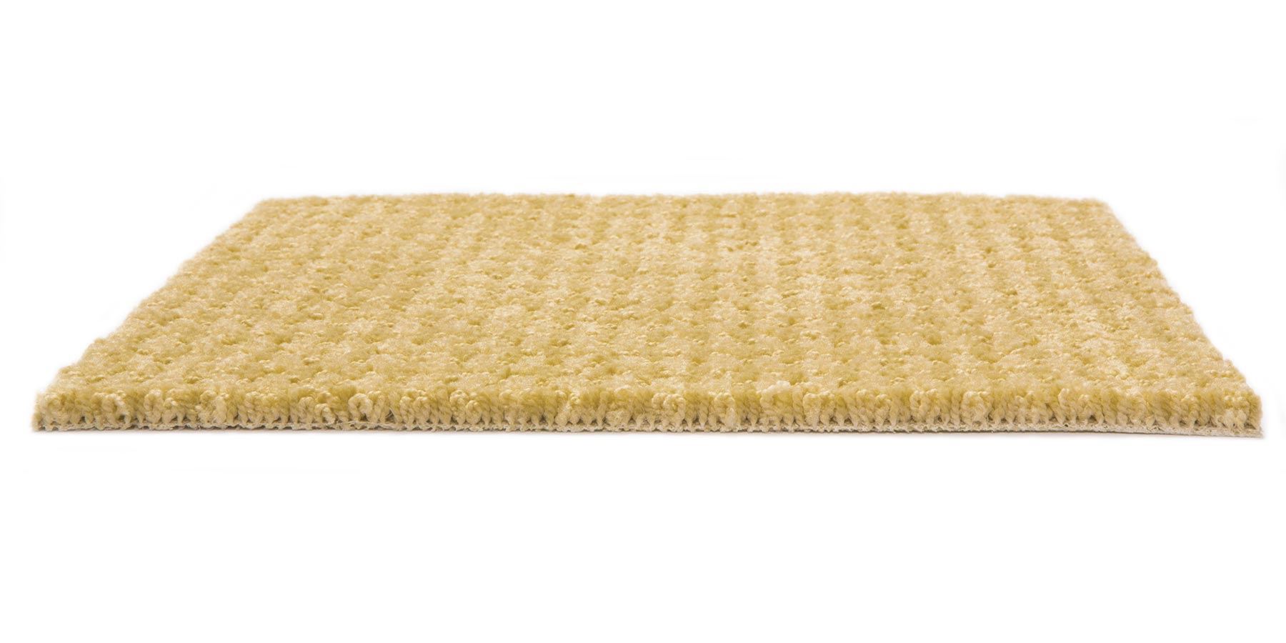 Dont Stop Believin Golden Fleece Carpet