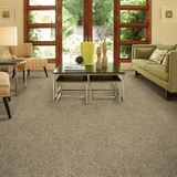 Visual Beauty Stylish Carpet