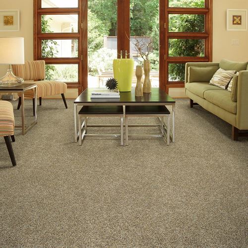 Visual Beauty Plush Carpet