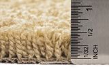 Pendleton Almond Silk Carpet