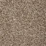 Glenora Frieze Carpet