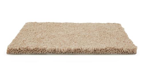 Park Heights Plush Carpet