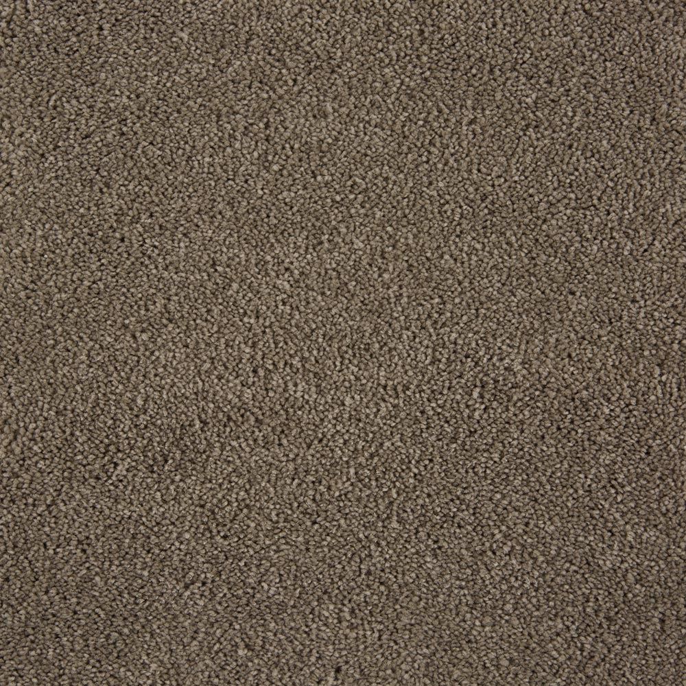 Parlor Plush Carpet