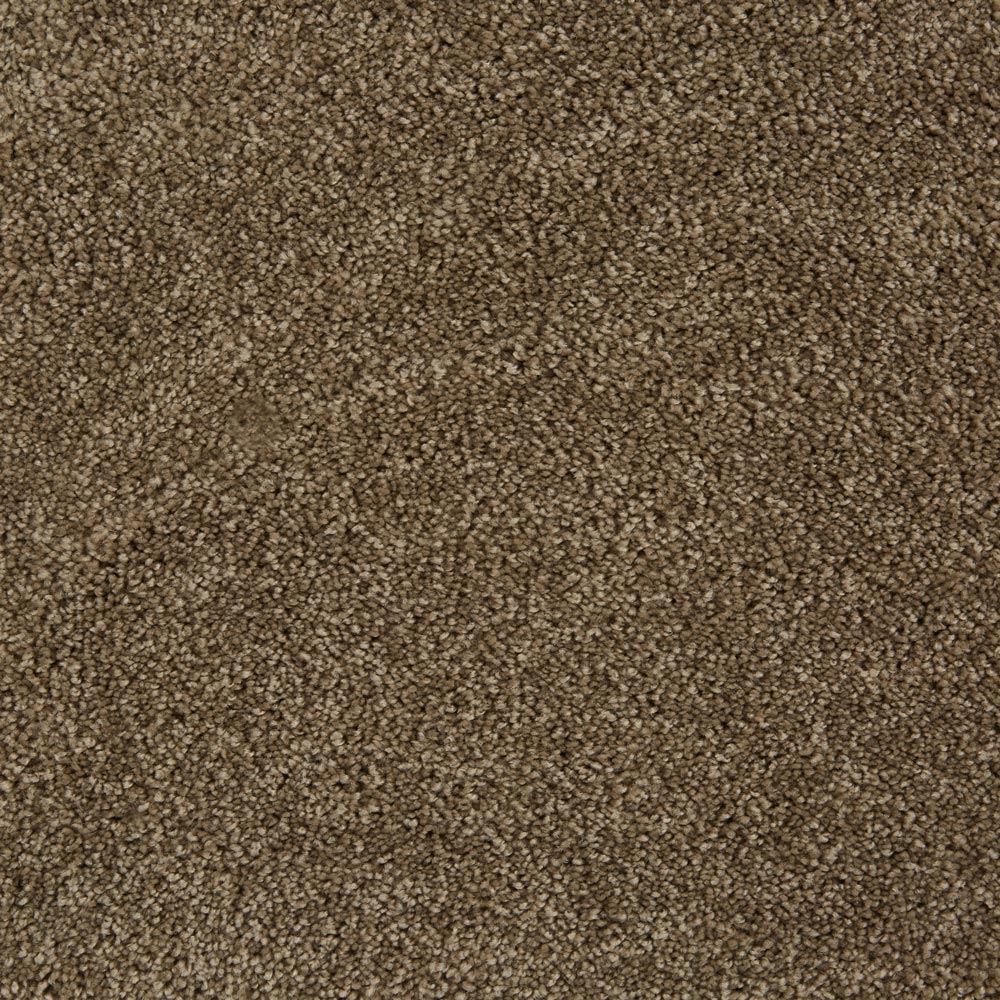 Parlor Plush Carpet