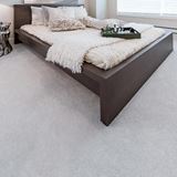 Parlor Polish Carpet