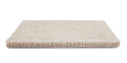 Fair Meadow Plush Carpet