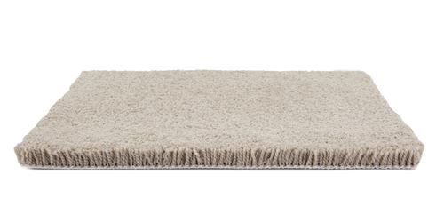 Fair Meadow Plush Carpet