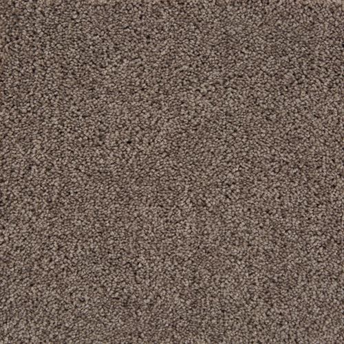 Bountiful Plush Carpet