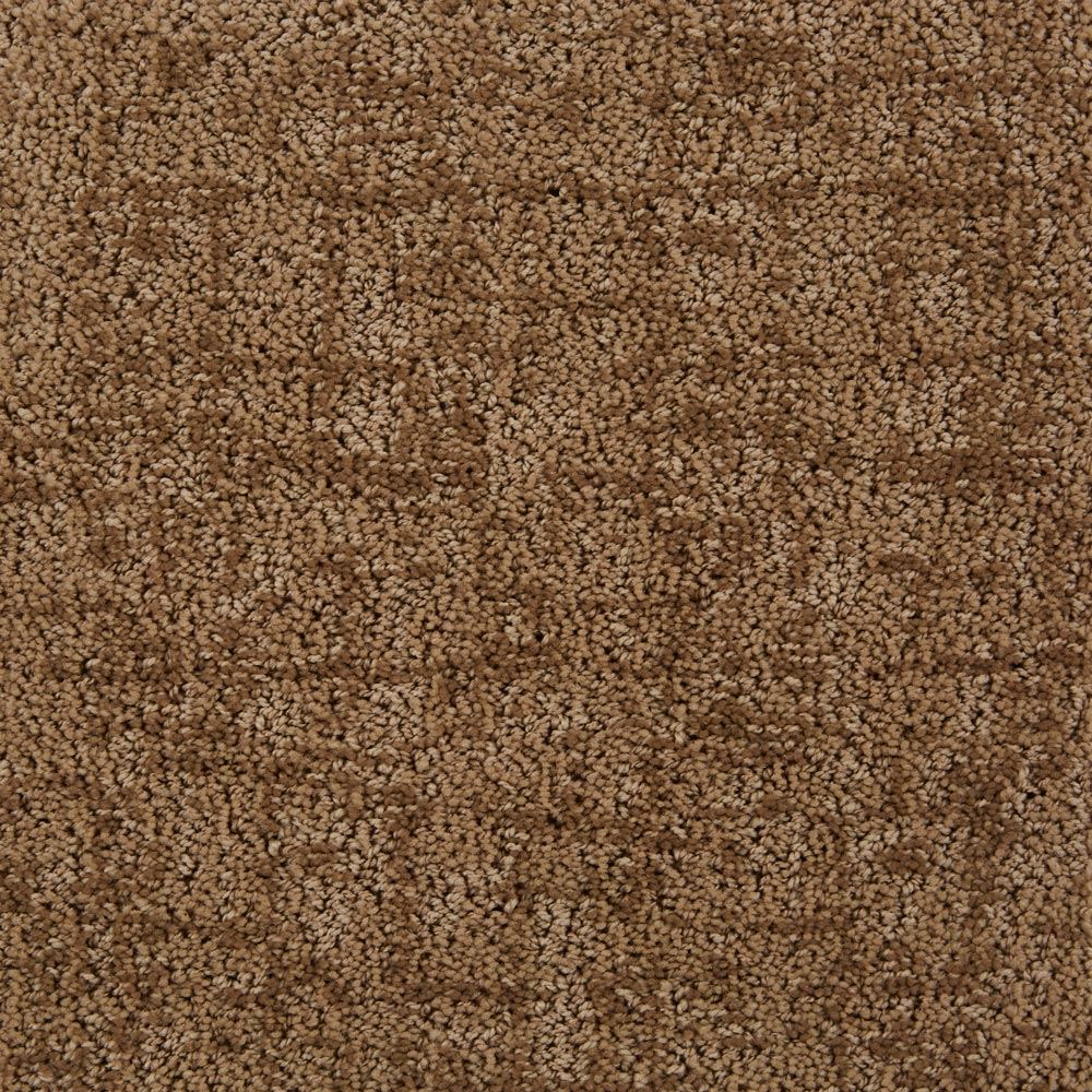Fulton Market Truffles Pattern Carpet Product Swatch Image