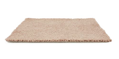 Orion Plush Carpet