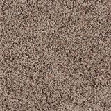 Sidekick Birch Desert Carpet