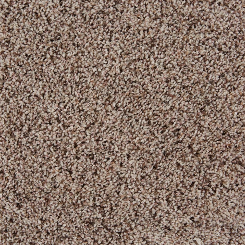 Sidekick Birch Desert Brown Frieze Carpet Product Swatch Image
