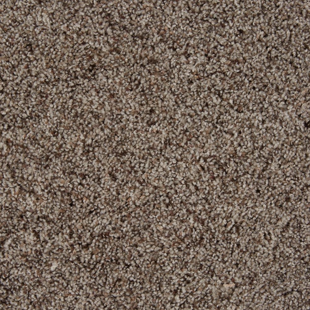 Sidekick Early Dawn Brown Frieze Carpet Product Swatch Image
