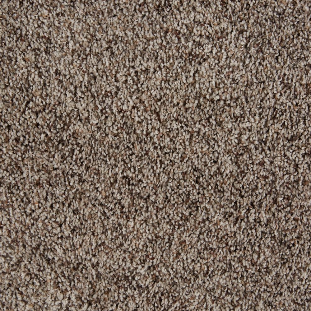 Sidekick Grains Brown Frieze Carpet Product Swatch Image
