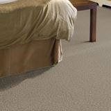 Fair Meadow Granite Falls Carpet