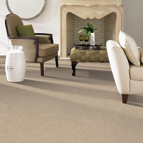 Orion Plush Carpet