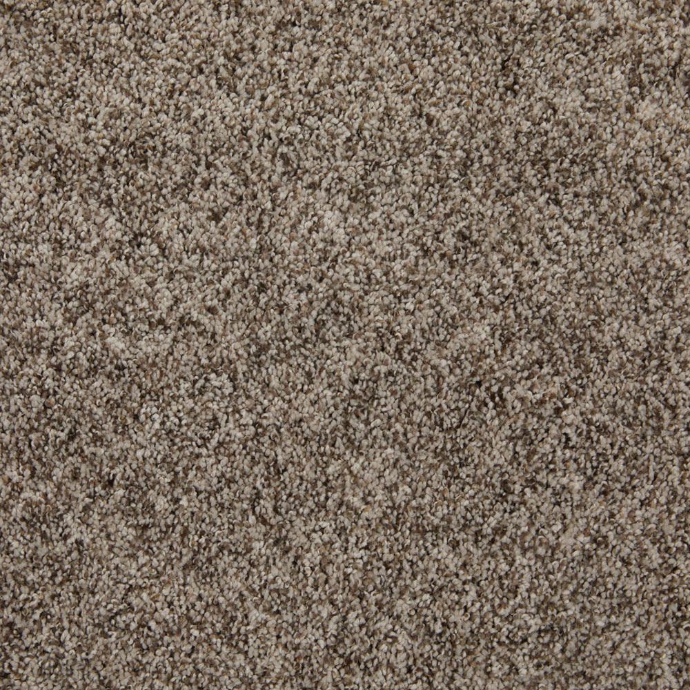 Incomparable Great Sandy Brown Frieze Carpet Product Swatch Image