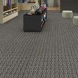 Aspire Touch Up Carpet
