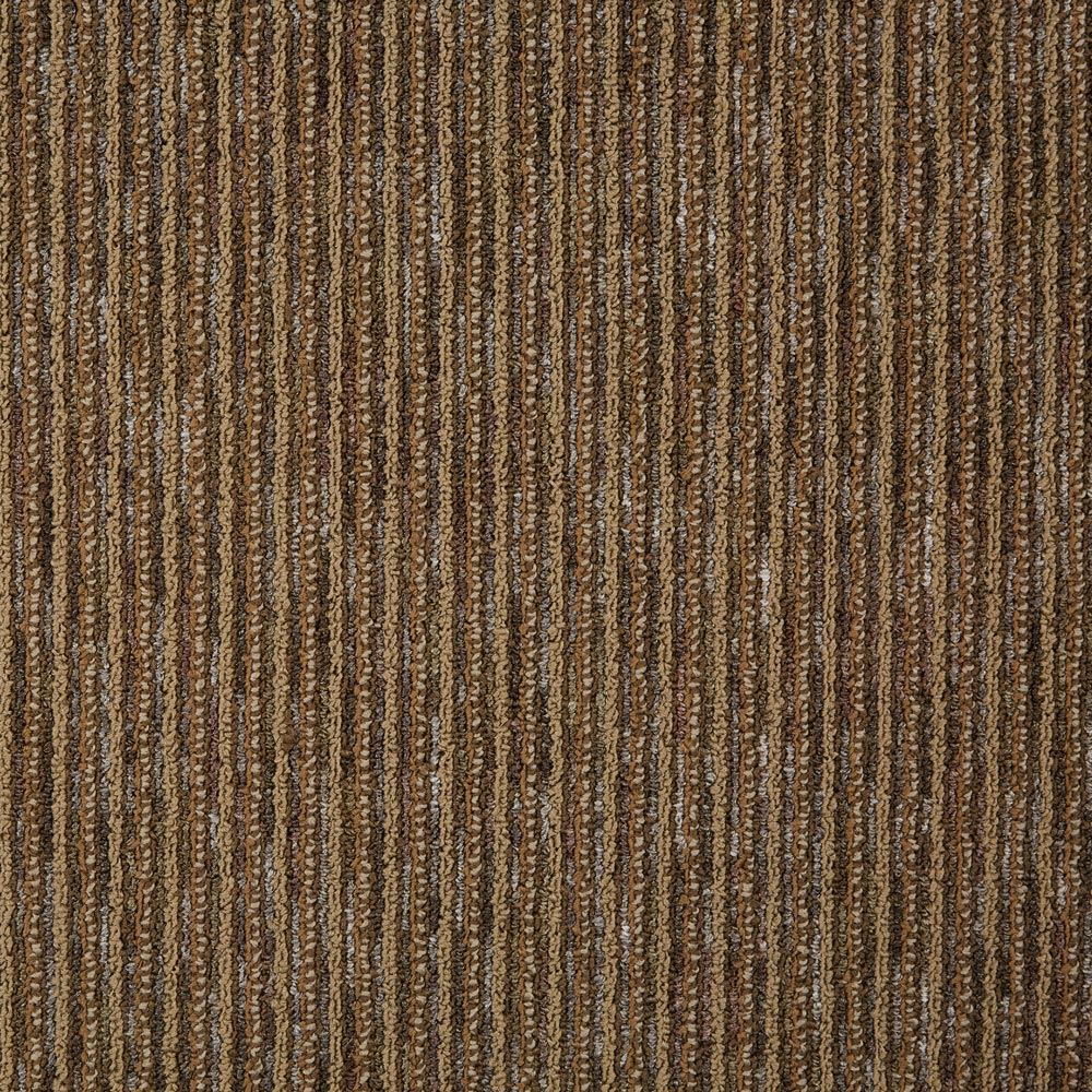 CEO II Educator Commercial Carpet and Carpet Tile Product Swatch Image