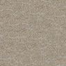 Consultant Commercial Carpet and Carpet Tile