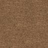 Consultant Commercial Carpet and Carpet Tile