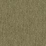 Consultant Commercial Carpet and Carpet Tile