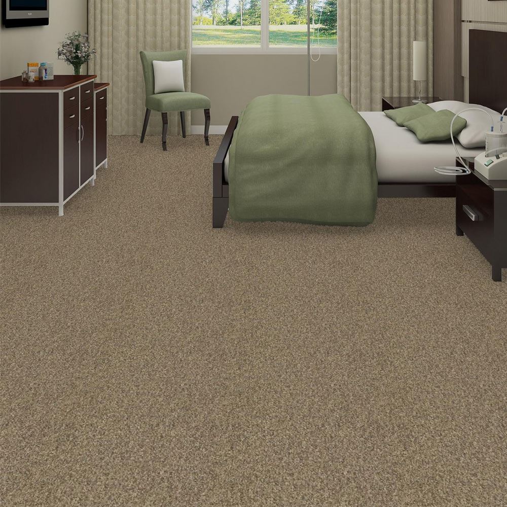 Franchise II Bedrock Carpet