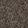 Franchise II Commercial Carpet and Carpet Tile