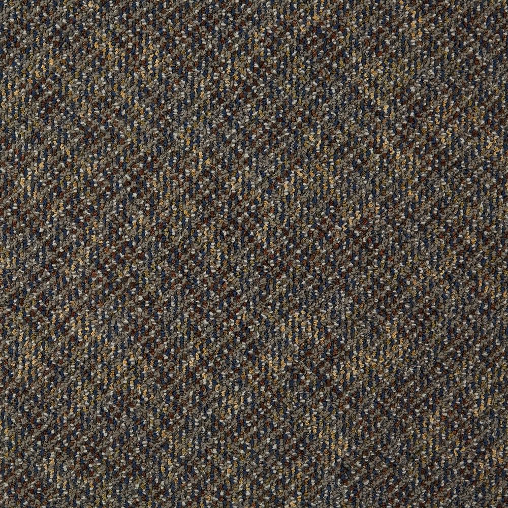 Doctor II Archaeologist Commercial Carpet and Carpet Tile Product Swatch Image