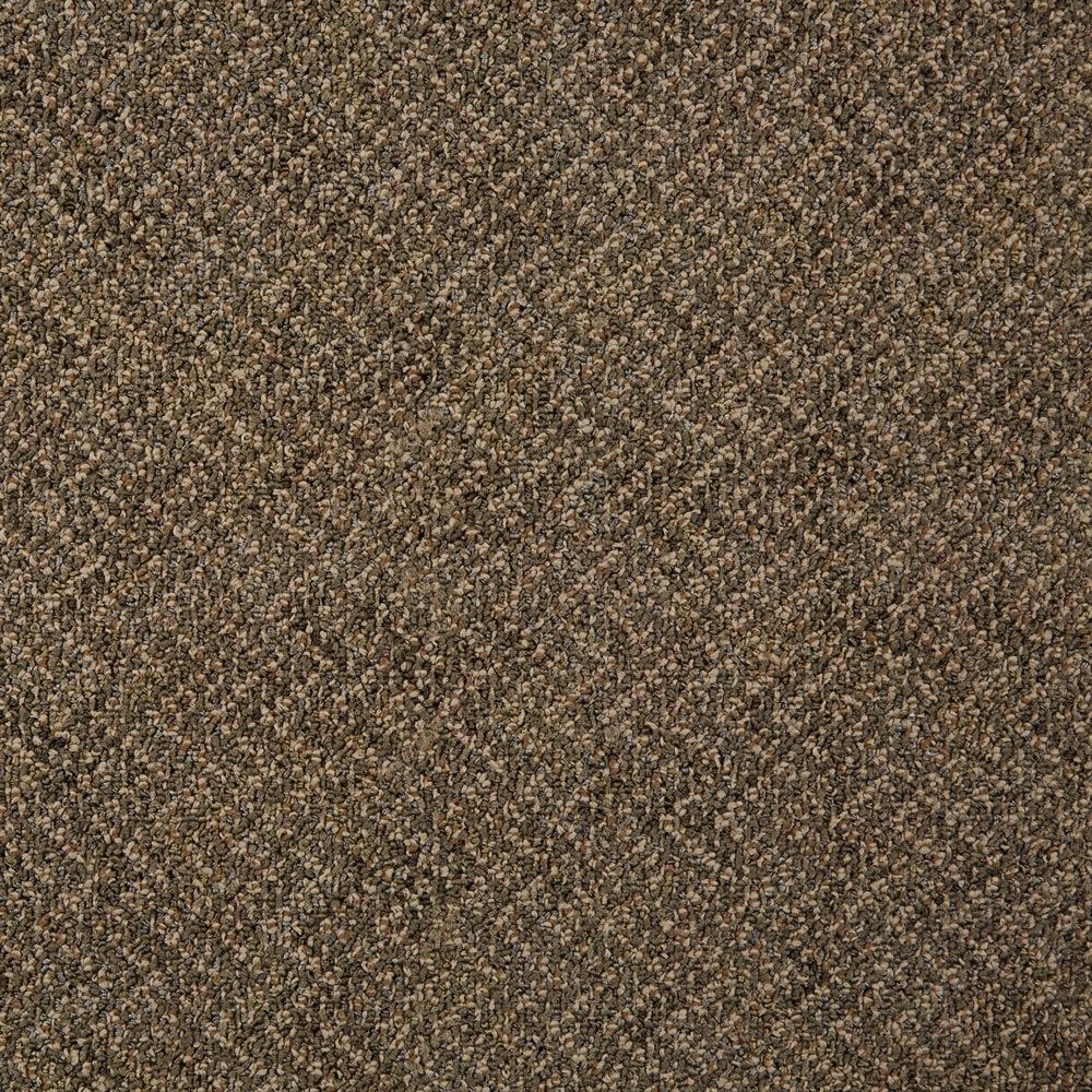Doctor II Composer Commercial Carpet and Carpet Tile Product Swatch Image
