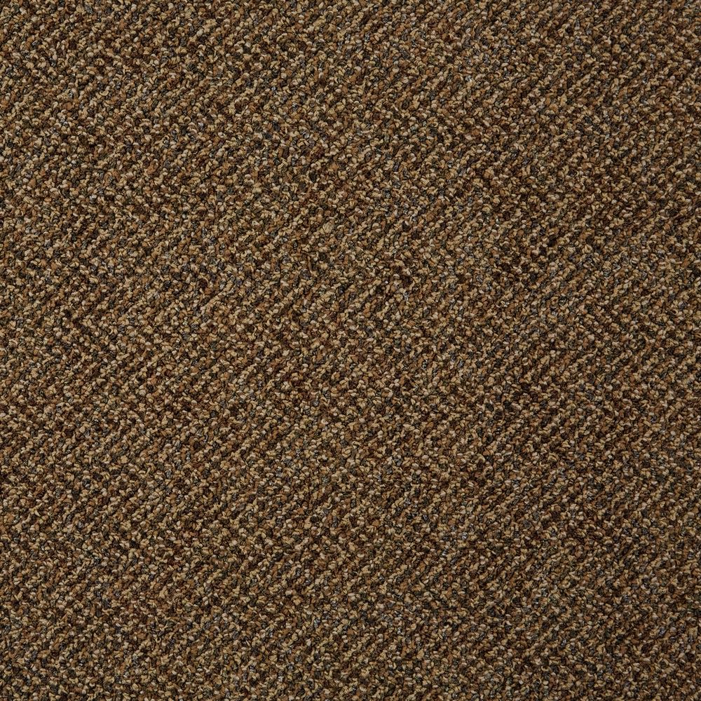 Doctor II Educator Commercial Carpet and Carpet Tile Product Swatch Image