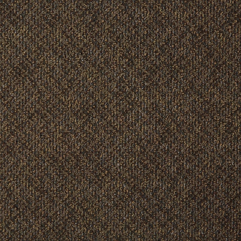 Doctor II Scholar Commercial Carpet and Carpet Tile Product Swatch Image