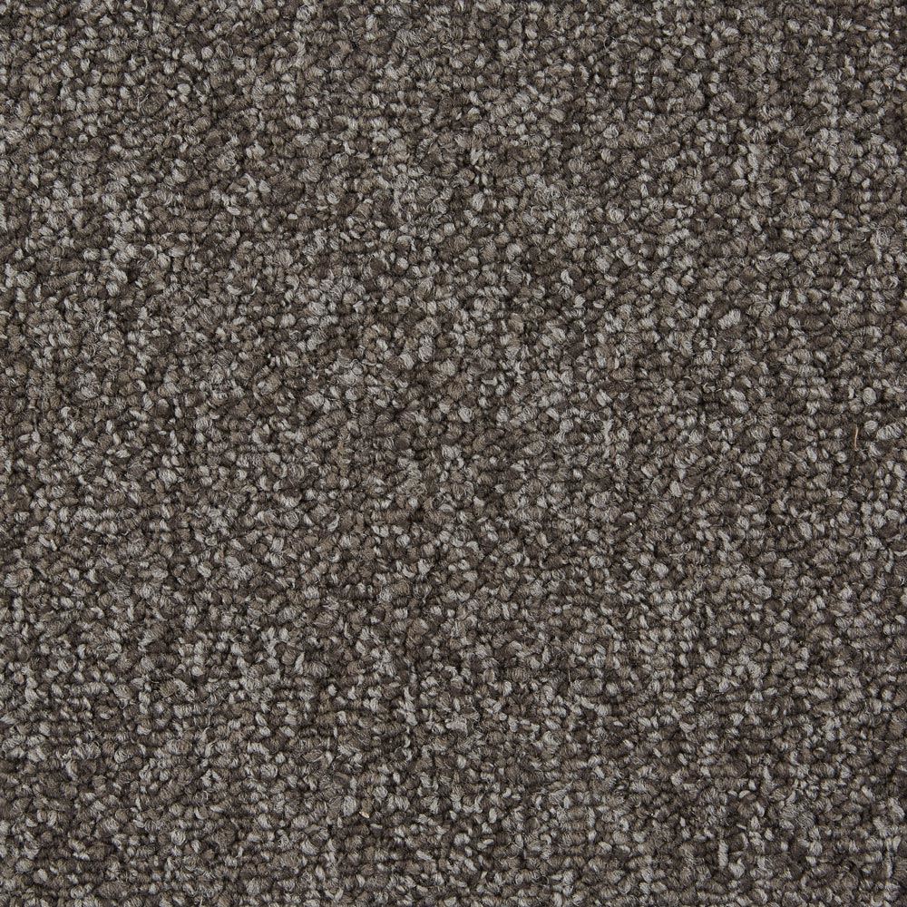 No Limits Wild Card Commercial Carpet and Carpet Tile Product Swatch Image