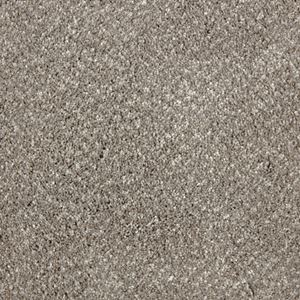 Impress Astonish Gray Plush Carpet Product Swatch Image