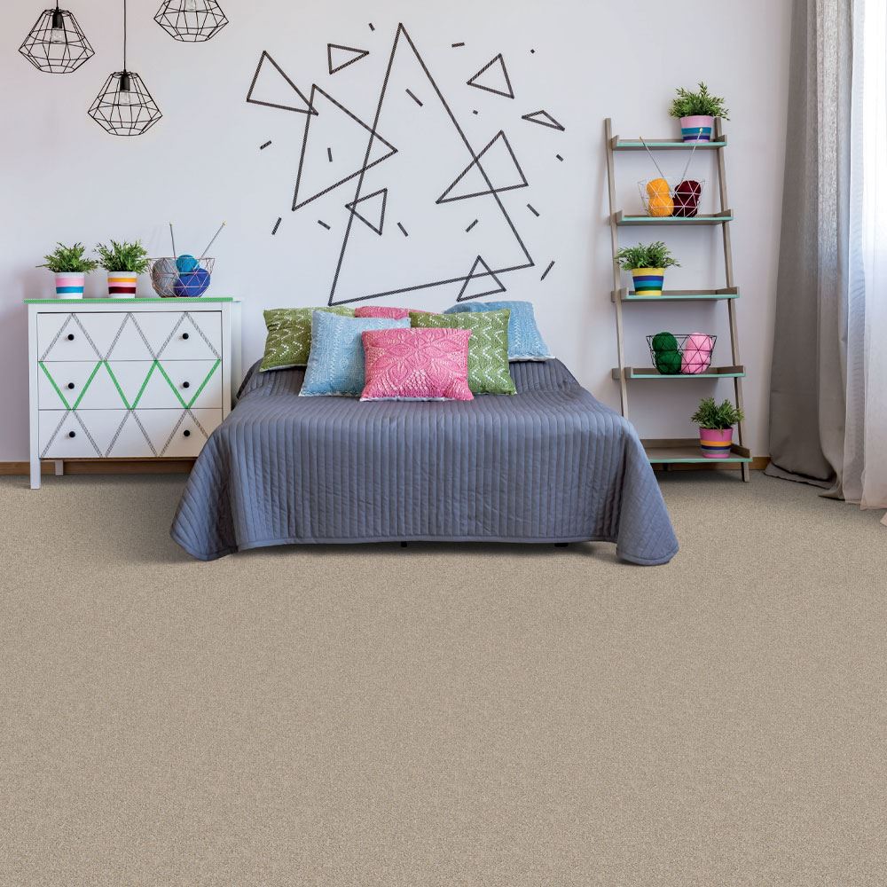 Empire Flooring 'Pomona' Plush Carpet Empire Today