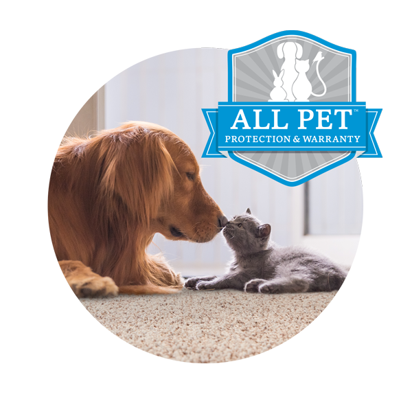 The Beginner's Guide to Pet-Friendly Carpet - Empire Today Blog