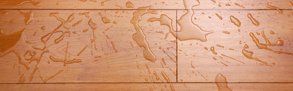 Solid Hardwood and Water Don’t Mix