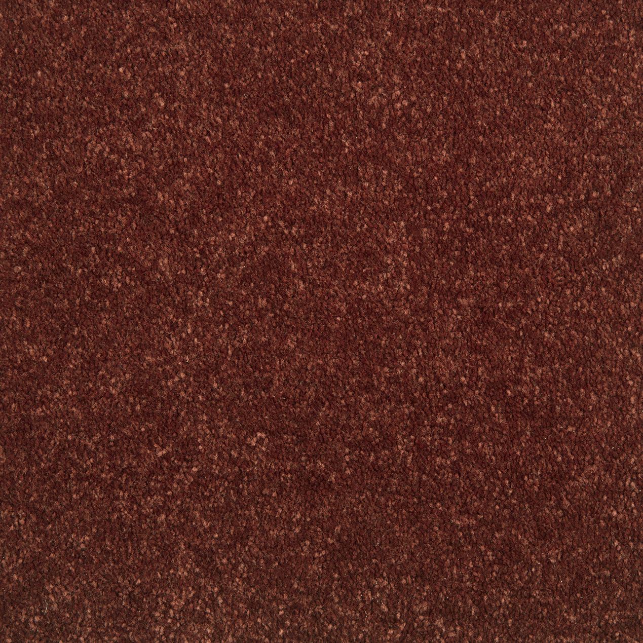 Elements Azalea Carpet