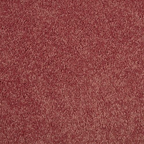 Lustrous Plush Carpet