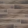 Timber Falls Porcelain and Ceramic Tile