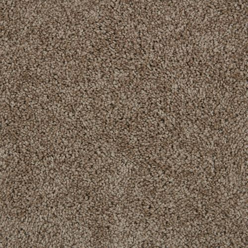 Spotlight Plush Carpet