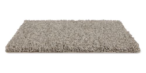Winhaven Plush Carpet