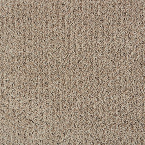 Polaris Pattern Carpet